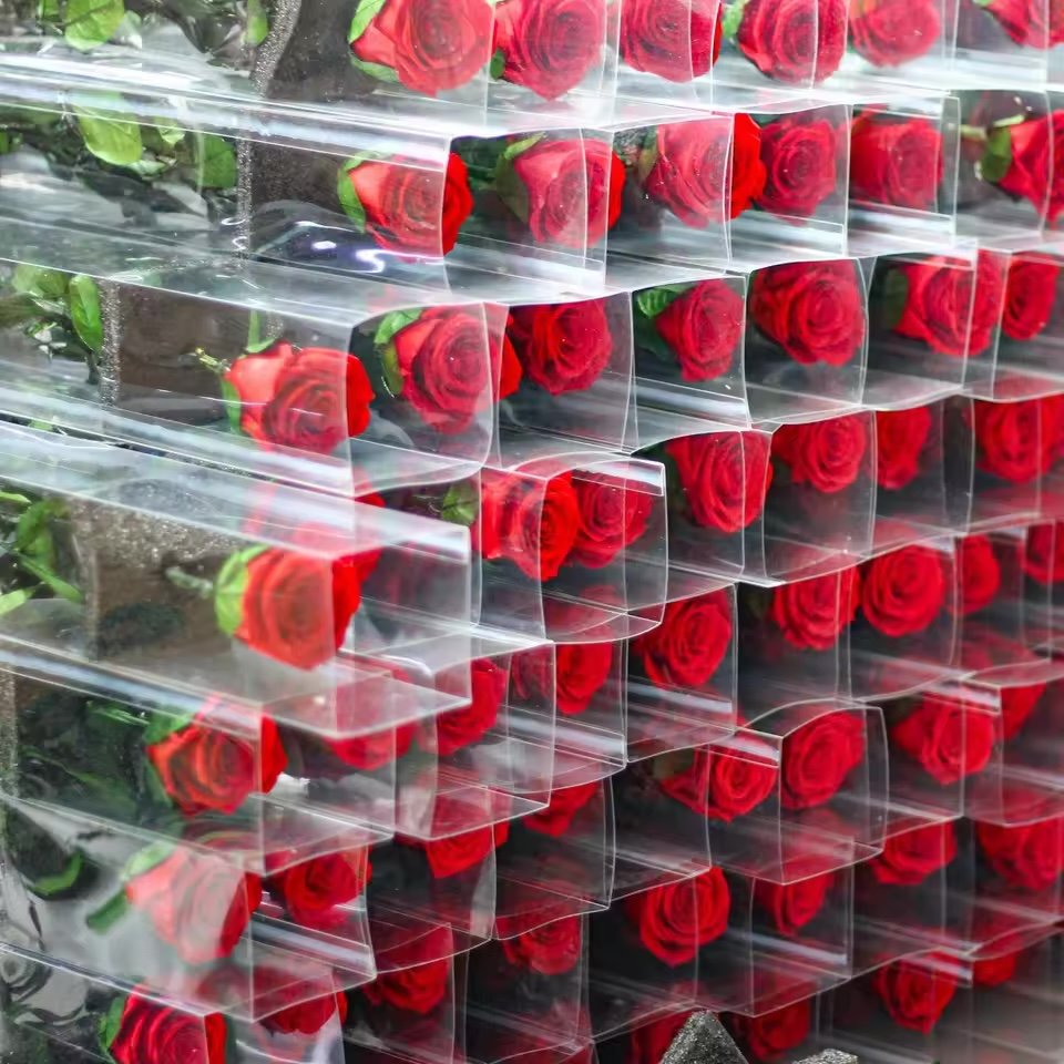 وردة محفوظة مفردة مع ساق / Single preserved rose with stem