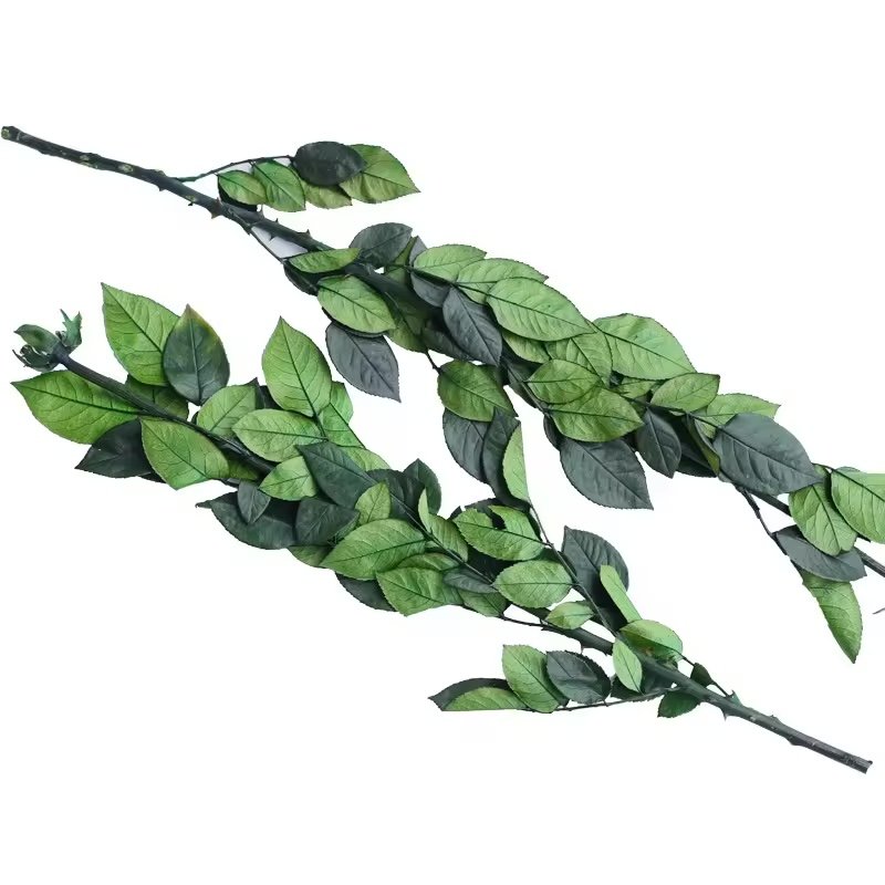 وردة محفوظة طويلة الساق / Long-stem preserved rose