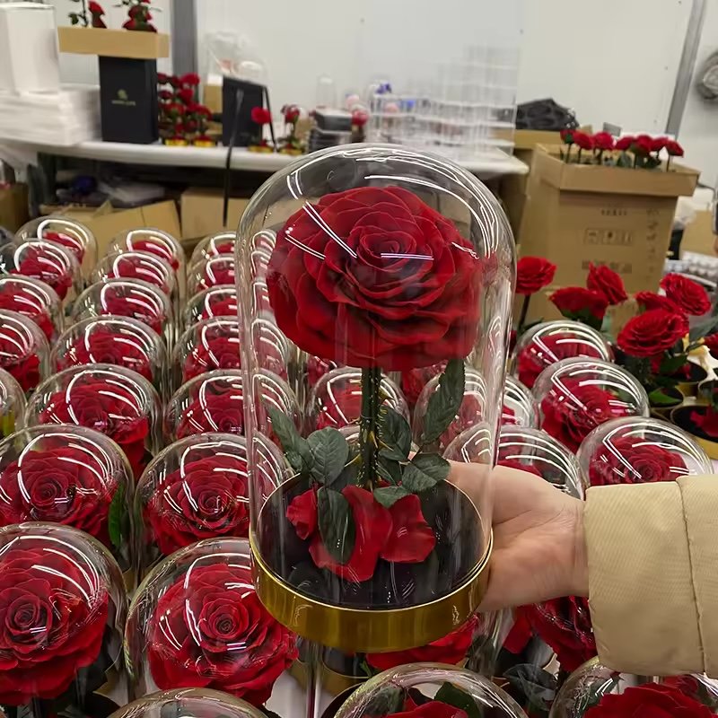وردة محفوظة بقبة زجاجية وإضاءة / LED preserved rose dome