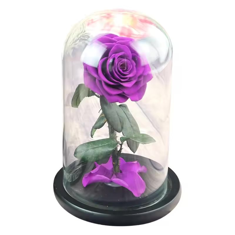 وردة محفوظة داخل قبة زجاجية / Preserved rose in glass dome