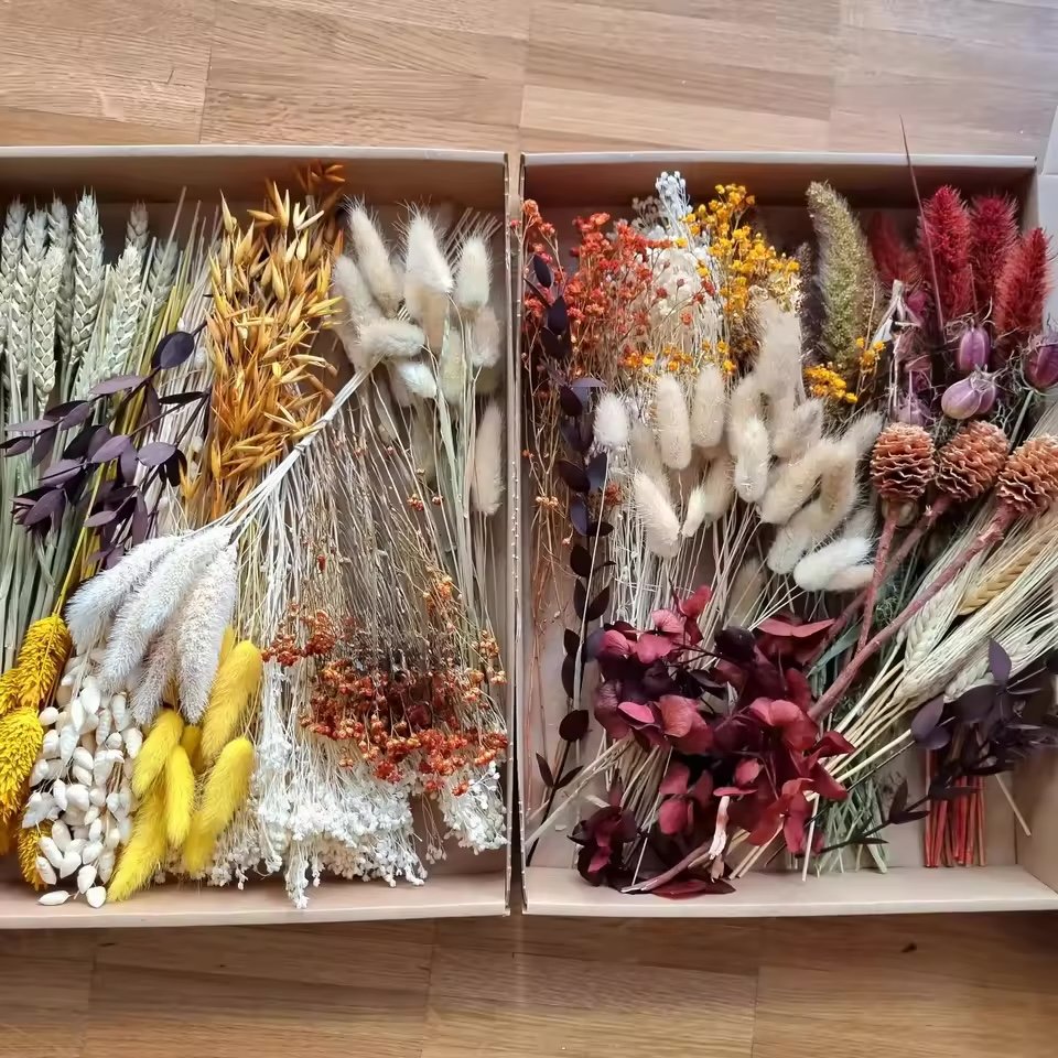 عشب البامباس الطبيعي المجفف / Natural dried pampas grass