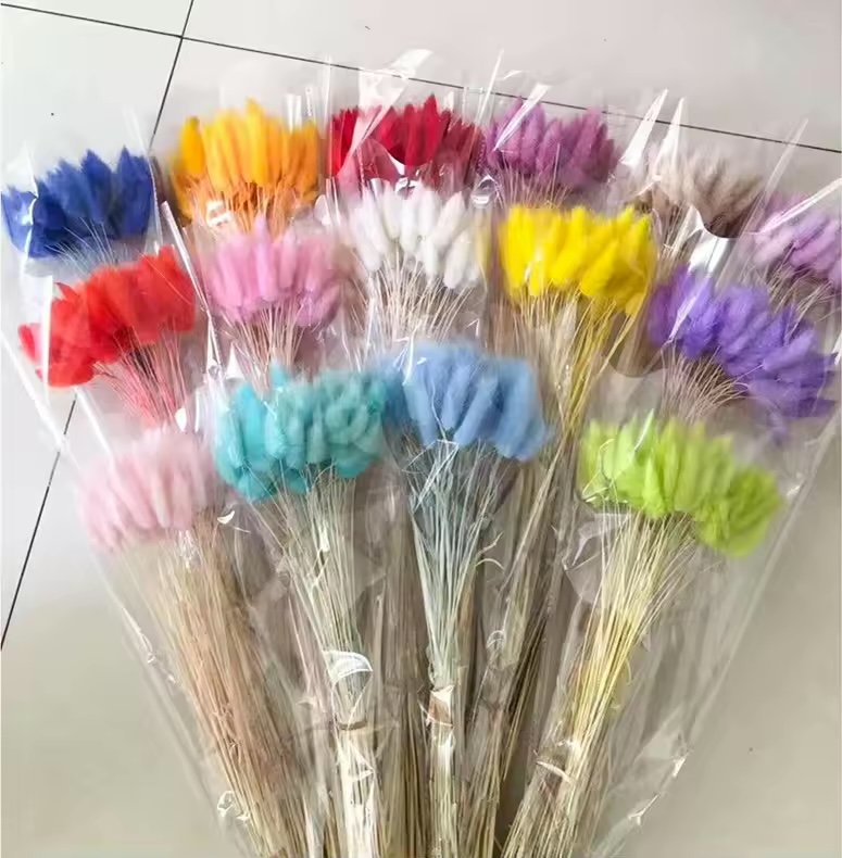 حزمة عشب ذيل الأرنب المجفف / Dried bunny-tail grass bunch