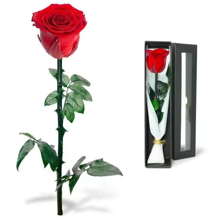 وردة طويلة واحدة في علبة هدايا فاخرة / Single long-stem rose in a high-end gift box