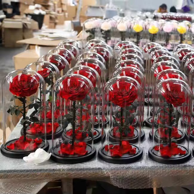 وردة محفوظة في قبة زجاجية بخيارات مقاسات متعددة / Preserved rose in a glass dome, multiple size variants