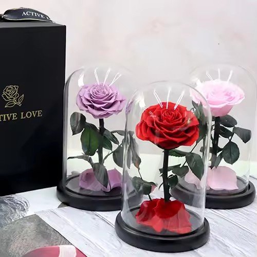 وردة محفوظة من الدرجة A تحت قبة زجاجية ١٥ × ٢٢ سم / A-grade preserved rose under a 15 × 22 cm glass dome