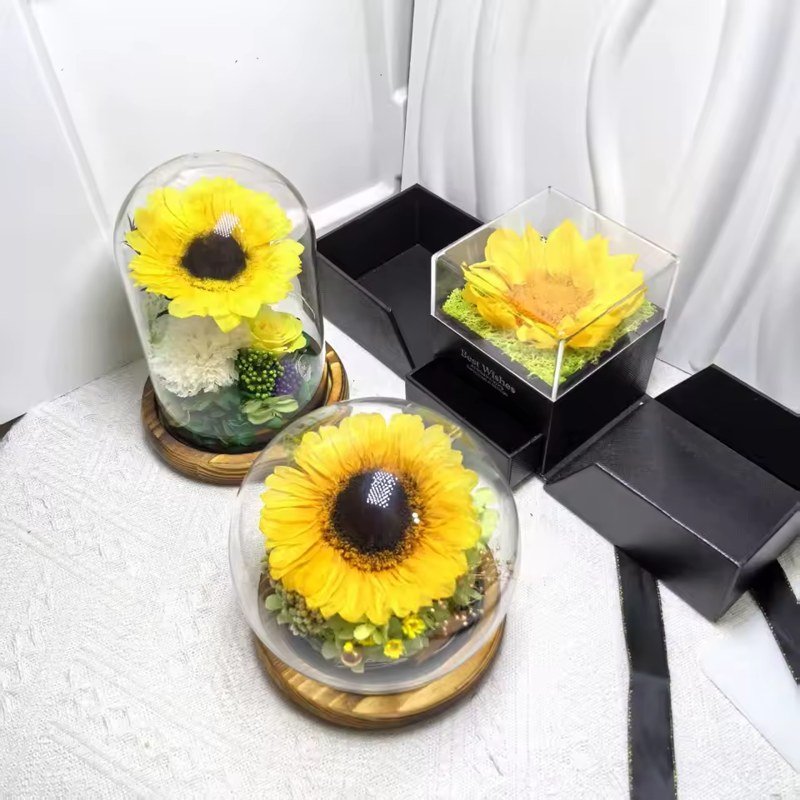 خيارات هدايا بقبّة زجاجية لزهرة دوّار الشمس وعلبة مجوهرات / Sunflower glass dome and jewelry-box gift variants
