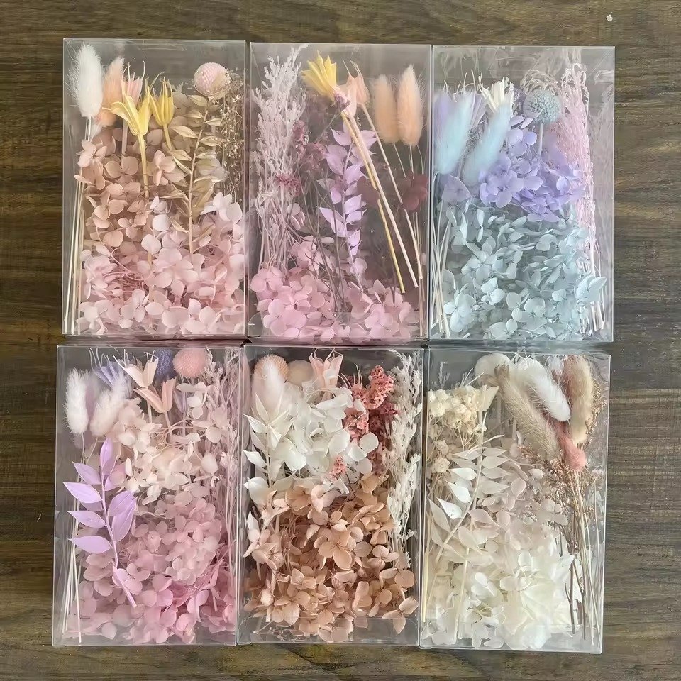 طقم زهور محفوظة مختلطة للأعمال اليدوية في صندوق / Boxed mixed preserved-flower DIY kit