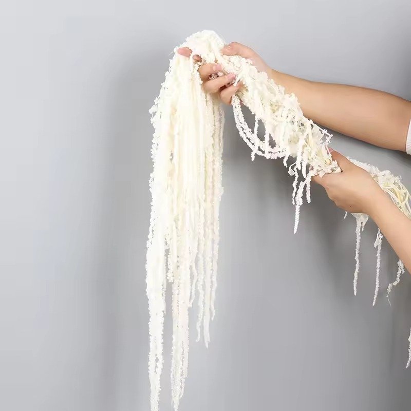 حزمة أمارانثوس معلقة محفوظة / Preserved hanging amaranthus bunch