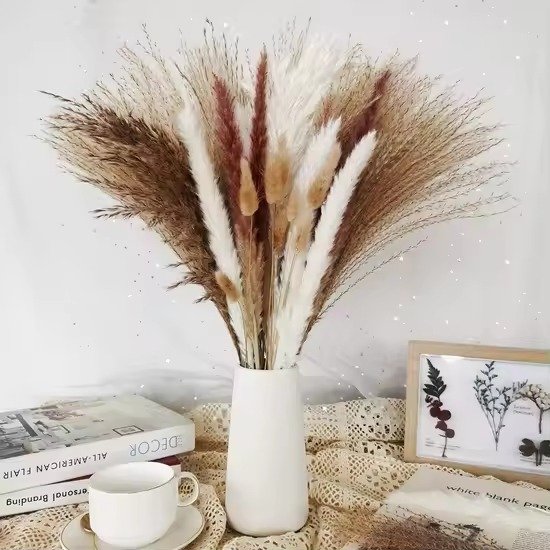 حزمة بامباس مجفف صغير / Small dried pampas grass bundle