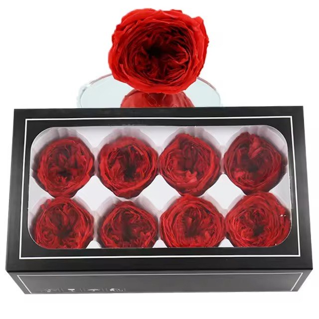 رؤوس ورد أوستن محفوظة، ٨ رؤوس في الصندوق / Preserved Austin rose heads, 8 per box