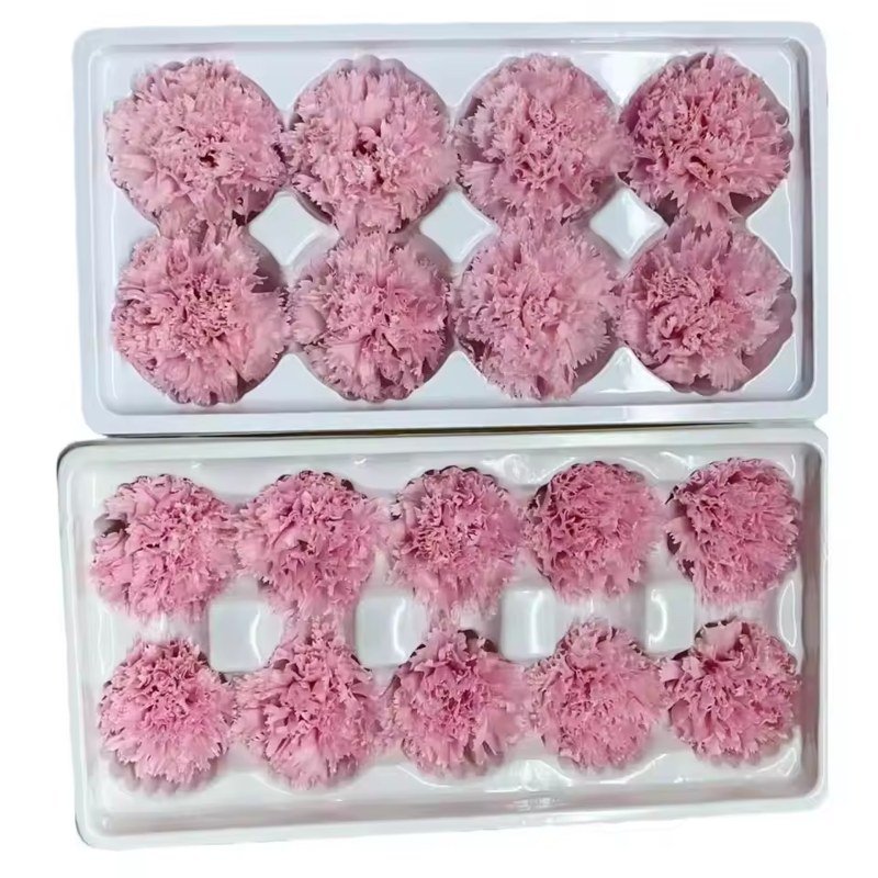 رؤوس قرنفل محفوظة من الدرجة A بحجم ٤–٥ سم، ٨ أو ١٠ في الصندوق / Grade A preserved carnation heads, 4–5 cm, 8 or 10 per box