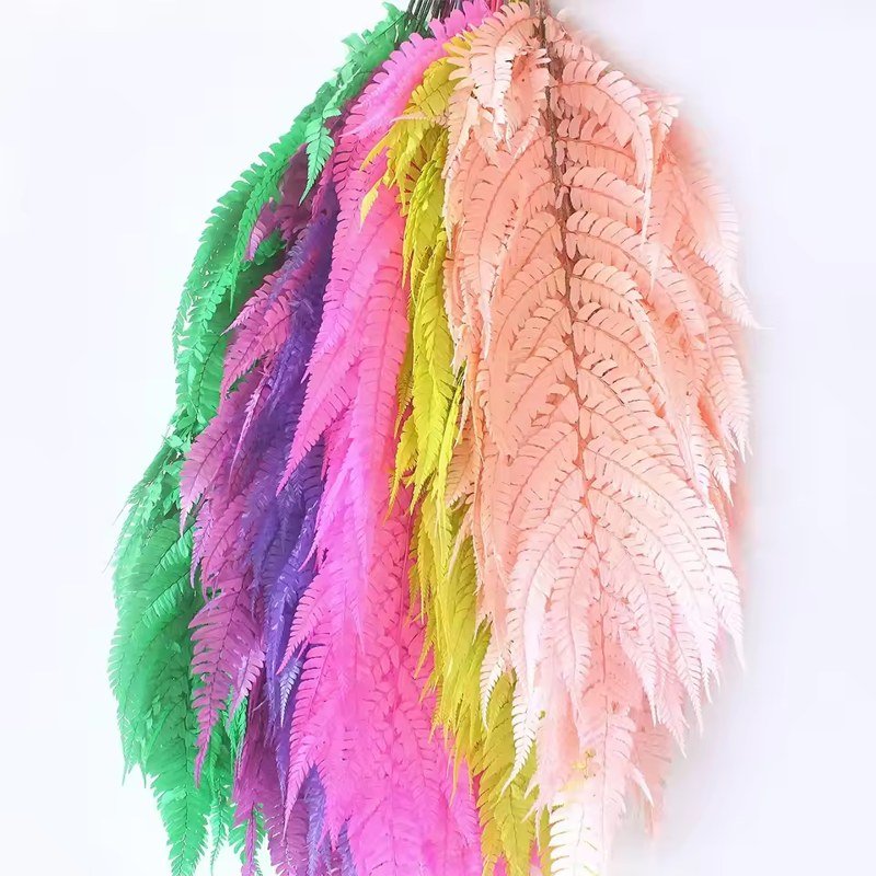 أوراق سرخس بتيريس مجففة طبيعية بطول ٤٥–٧٠ سم، ١٠ سيقان في العبوة / Natural dried Pteris fern leaf, 45–70 cm, 10 stems per pack